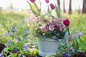 Tulips, daffodils, hyacinths in ceramic bucket