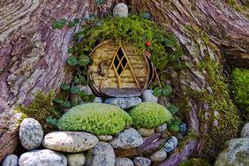 1 tree door fairy garden