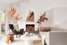 Living room with muted tones and minimalist decor - Interior of sitting room with furniture and autumn plants