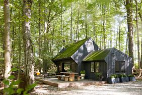 Cabin in the woods with dark siding and moss
