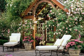 patio backyard entryway with flowers