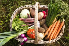 Basket full of organic vegetables