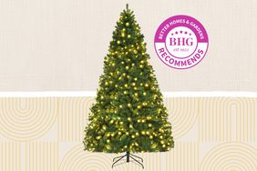 Best Places To Buy Christmas Trees of 2023