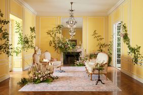 Bridgerton x Ruggable in elegant Recency style living room