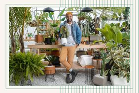 Hilton Carter with his Target plant collection