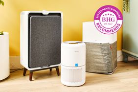 Three air purifiers we recommend for removing pet hair displayed on a wooden floor