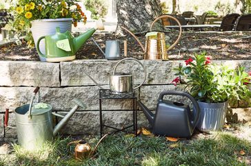 Watering cans in an outdoor setting