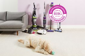 Four of the best vacuums for removing pet hair displayed in a living room with a dog