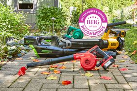 Best electric leaf blowers arranged on an outdoor path with leaves