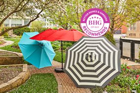 Best patio umbrellas displayed in a garden
