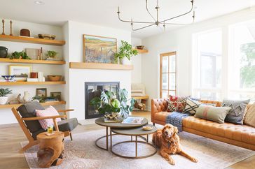 White living room with dog