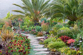 colorful garden path