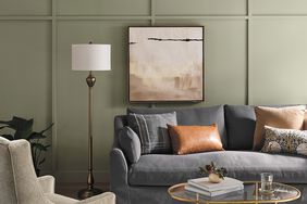 sage green paint color on living room wall