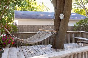deck tree hammock