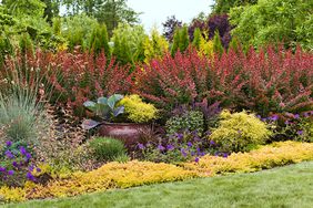 easy landscaping idea bold red yellow green colored flowers