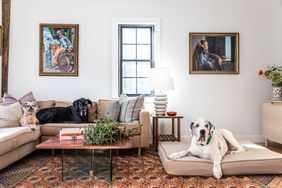 living room with dogs
