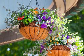 hanging flower baskets along curved structure