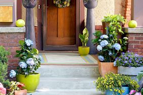 container plants on stairs leading up to a front porch and brown painted home and door