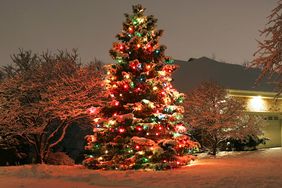 outdoor christmas tree with colorful lights in front yard of home
