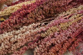 close up of quinoa