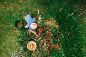 High angle view of person watering flowerbed in garden