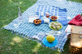 Food on blanket in grass
