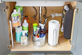 kitchen under-sink cleaning supplies storage bucket plastic bag organizer