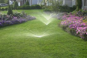 lawn sprinklers flowers grass maintenance