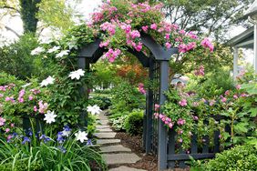 lush landscaping with stone path and rose-covered arbor