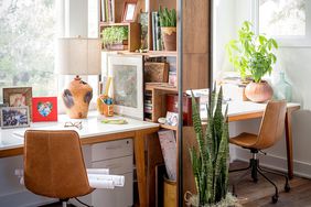 modern midcentury rustic office two desks room divider snake plant