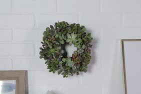 Hardy Succulent Wreath