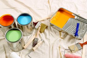 paint supplies and bright paint on drop cloth