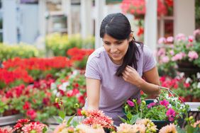 person plant shopping for low cost flowers at garden center