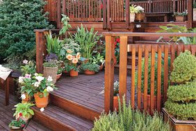 multi-level wood deck with potted plants