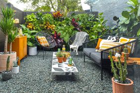 private modern patio tropical plants rock black furniture