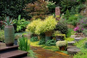 shade garden with containers of dwarf greenstripe bamboo