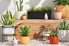 Several self-watering planters we recommend from Target displayed on stones and a wooden box