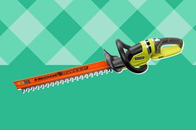 RYOBI 22-Inch 18V Cordless Hedge Trimmer collaged on a green background