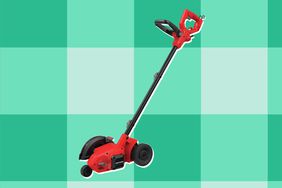 Craftsman Electric Lawn Edger collaged against green plaid background