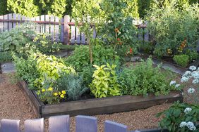 gated vegetable container garden