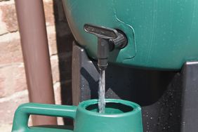 Watering can being filled from a water butt, England